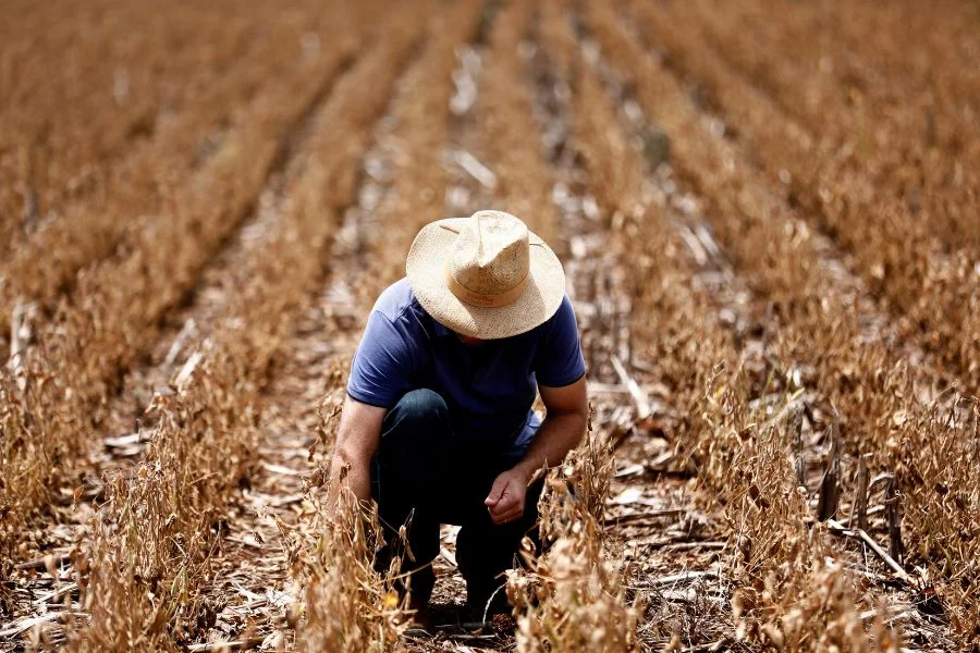 Exportação de soja brasileira quebra recorde de 5 anos em abril