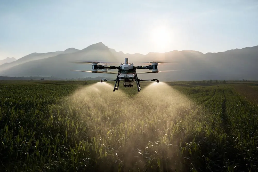 ‘O trator tá lá no alto’: drones de pulverização multiplicam-se no agro