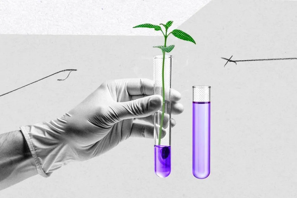 Guerra no Irã eleva custo dos fertilizantes e ameaça produção global de alimentos